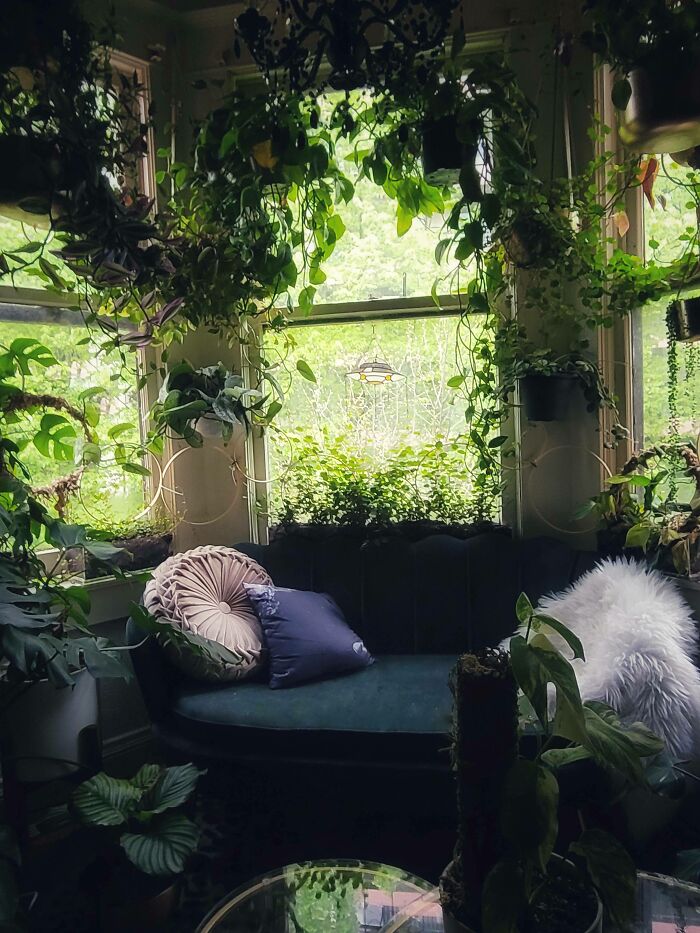 Nature-Themed Window Nook