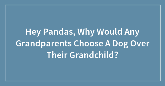 Hey Pandas, Why Would Any Grandparents Choose A Dog Over Their Grandchild?