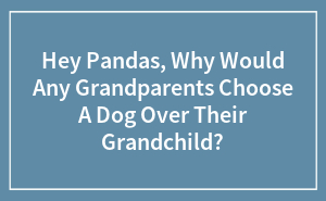 Hey Pandas, Why Would Any Grandparents Choose A Dog Over Their Grandchild?
