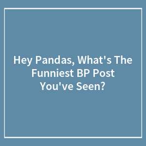 Hey Pandas, What's The Funniest BP Post You've Seen?