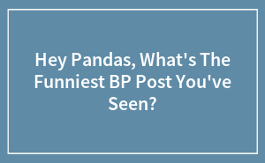 Hey Pandas, What's The Funniest BP Post You've Seen?