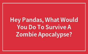 Hey Pandas, What Would You Do To Survive A Zombie Apocalypse?