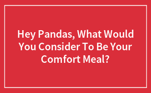 Hey Pandas, What Would You Consider To Be Your Comfort Meal?