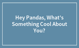 Hey Pandas, What’s Something Cool About You?