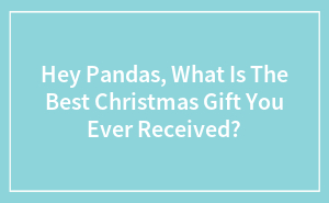 Hey Pandas, What Is The Best Christmas Gift You Ever Received?