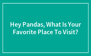 Hey Pandas, What Is Your Favorite Place To Visit? (Closed)