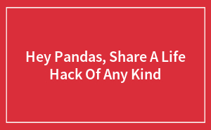 Hey Pandas, Share A Life Hack Of Any Kind