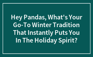 Hey Pandas, What's Your Go-To Winter Tradition That Instantly Puts You In The Holiday Spirit?