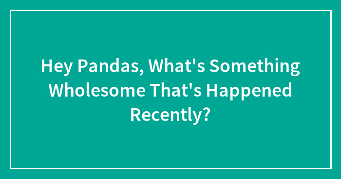 Hey Pandas, What’s Something Wholesome That’s Happened Recently? (Closed)