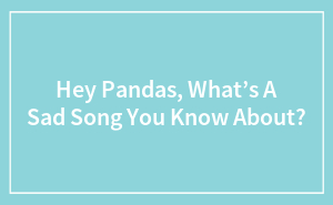 Hey Pandas, What’s A Sad Song You Know About?
