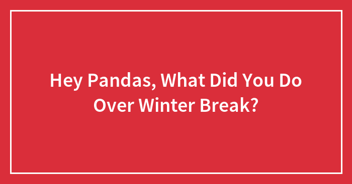 Hey Pandas, What Did You Do Over Winter Break? (Closed)