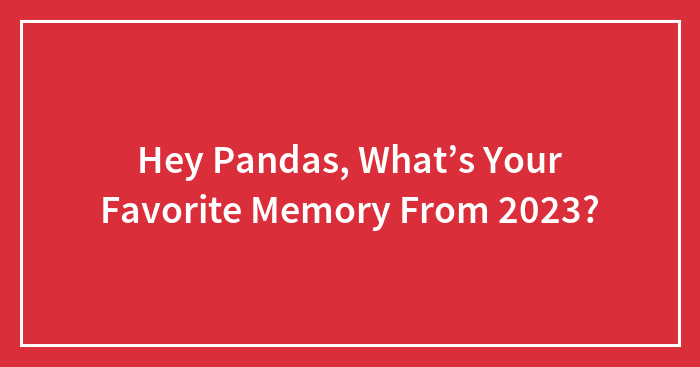 Hey Pandas, What’s Your Favorite Memory From 2023?