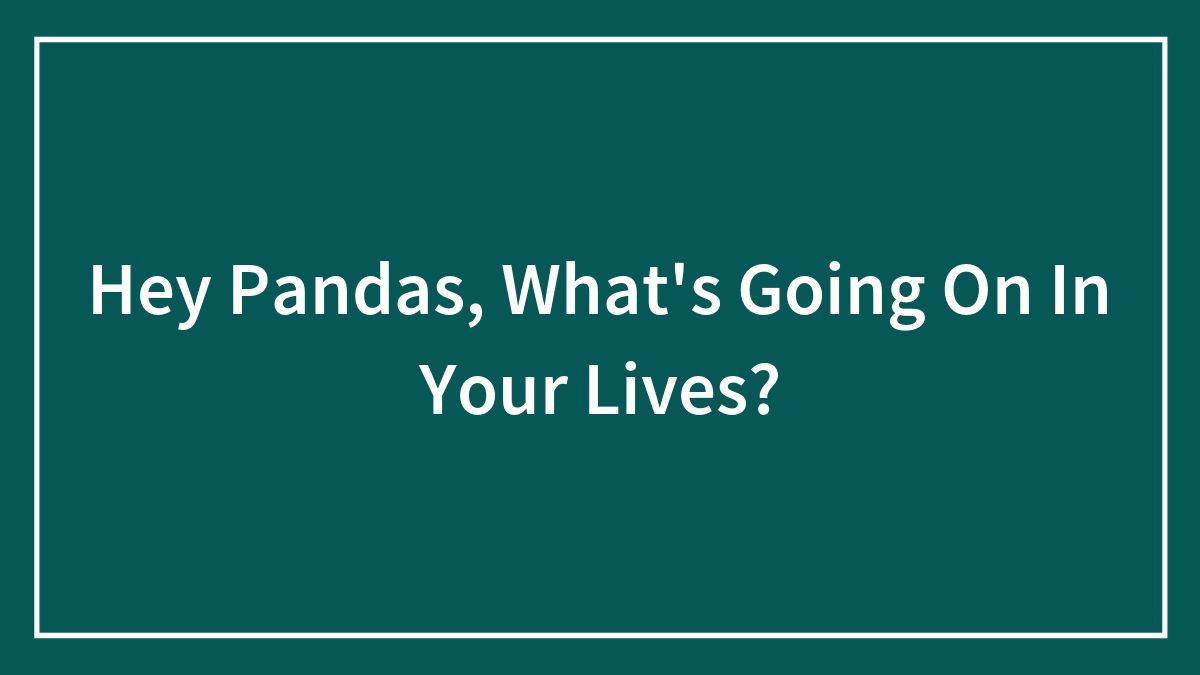 Hey Pandas, What’s Going On In Your Lives? (Closed)