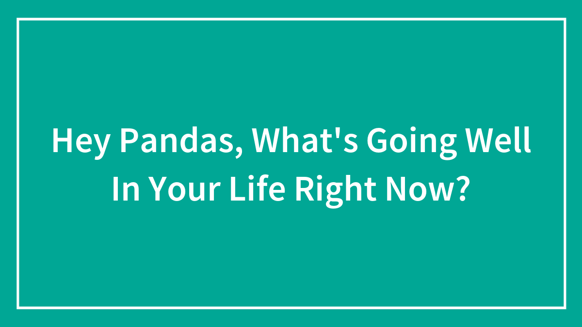 Hey Pandas, What’s Going Well In Your Life Right Now? (Closed)
