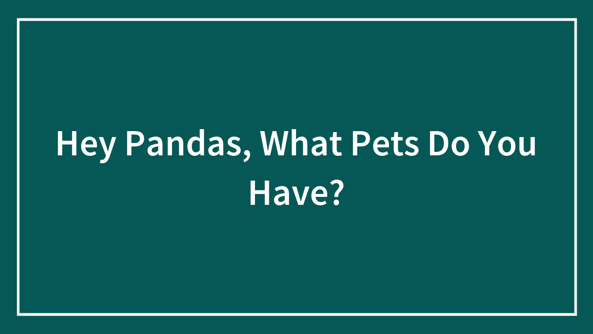 Hey Pandas, What Pets Do You Have? (Closed)
