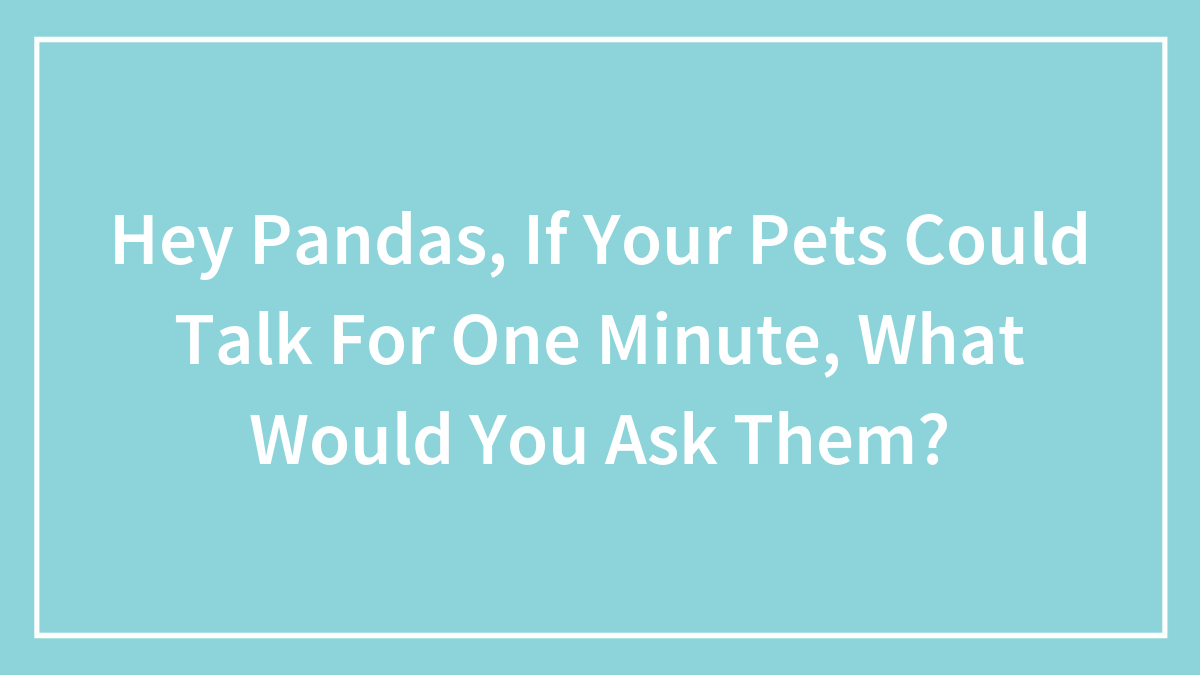 Hey Pandas, If Your Pets Could Talk For One Minute, What Would You Ask Them? (Closed)