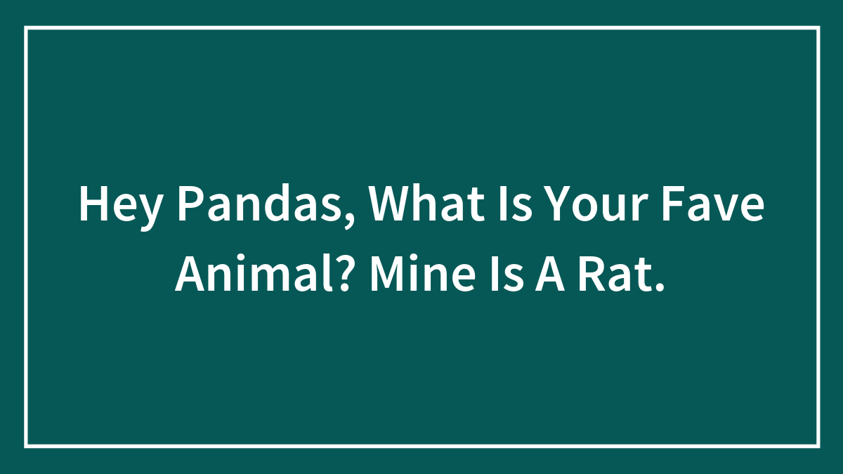 Hey Pandas, What Is Your Fave Animal? Mine Is A Rat.