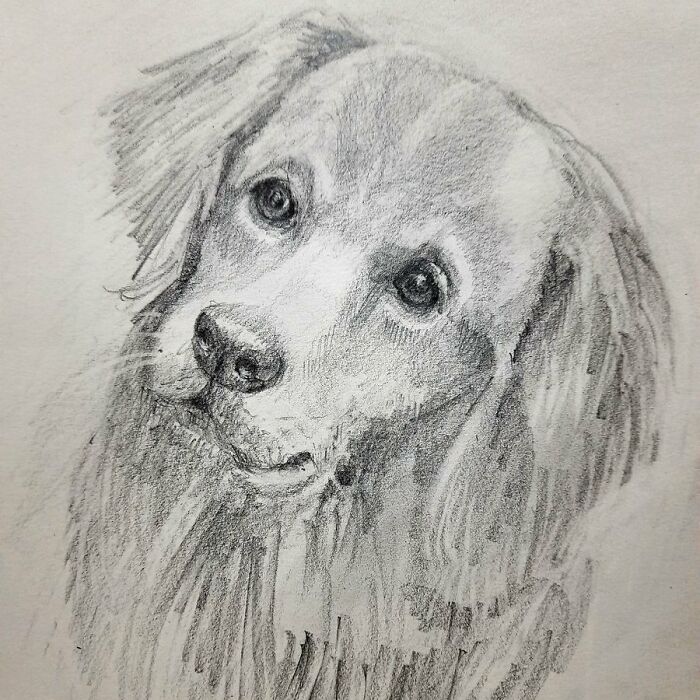 Hey Pandas, Draw A Picture Of Your Pet And Then Post It (Closed)