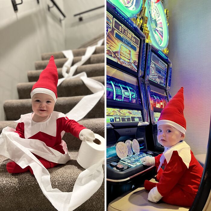 Meet Beaumont: Here Are 27 Photos Of Our Real-Life Elf