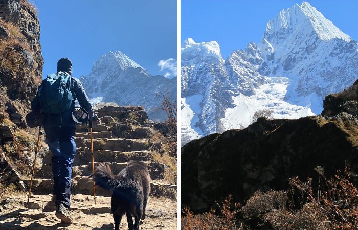 12 Days To Everest: Trekking With A Furry Friend