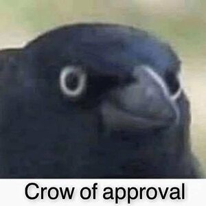 Crow of Approval