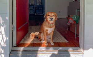 40 People Who Interacted With Very Rich People Reveal The Weirdest Things They’ve Seen