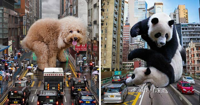 This Artist Reimagined Hong Kong With Giant Animal Residents In His Surreal Depictions (30 Pics)