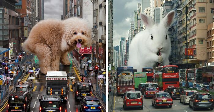 This Artist Reimagined Hong Kong With Giant Animal Residents In His Surreal Depictions (30 Pics)