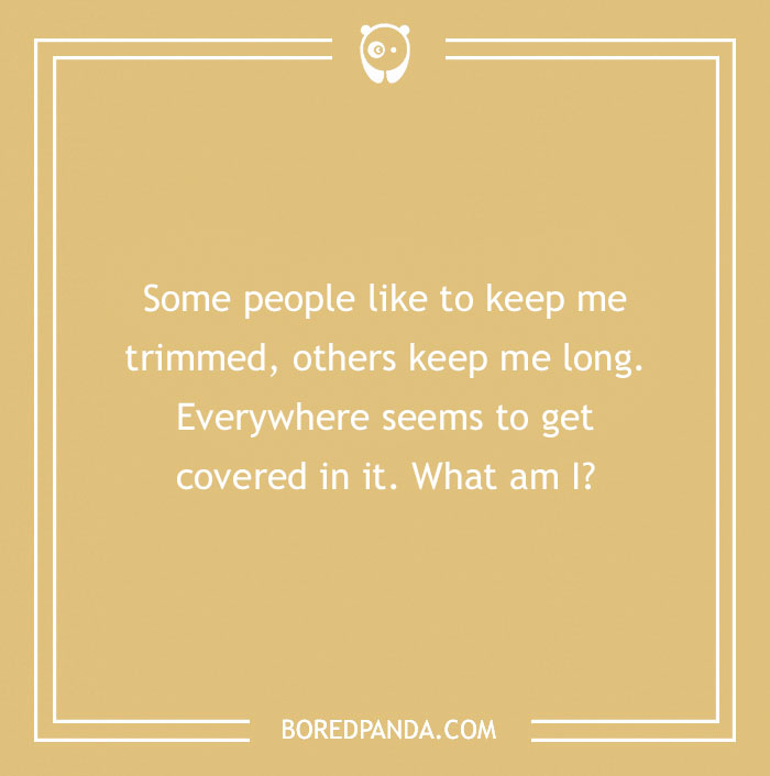 Riddle text on a beige background from Bored Panda asking a tricky question to challenge your brain.