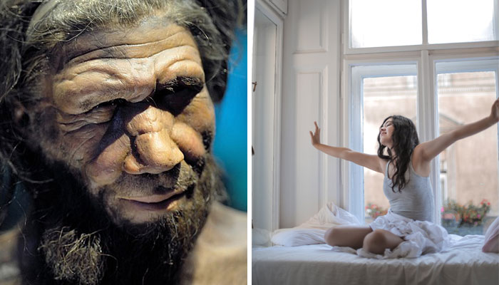 People Who Go To Bed And Wake Up Early May Share DNA With Neanderthals And Denisovans