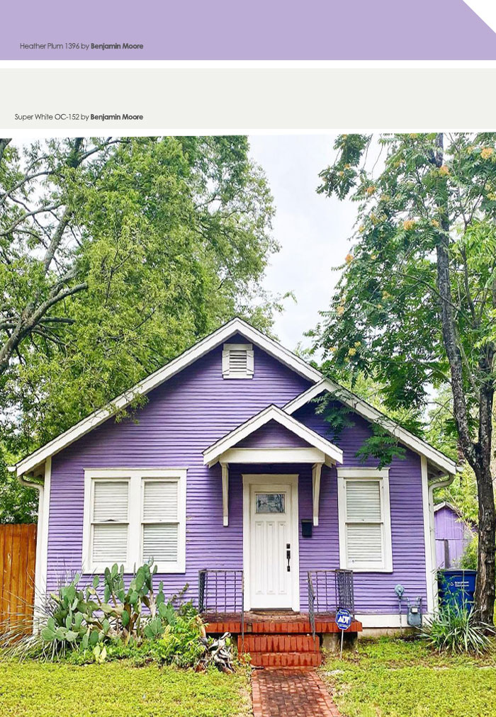 Purple painted house
