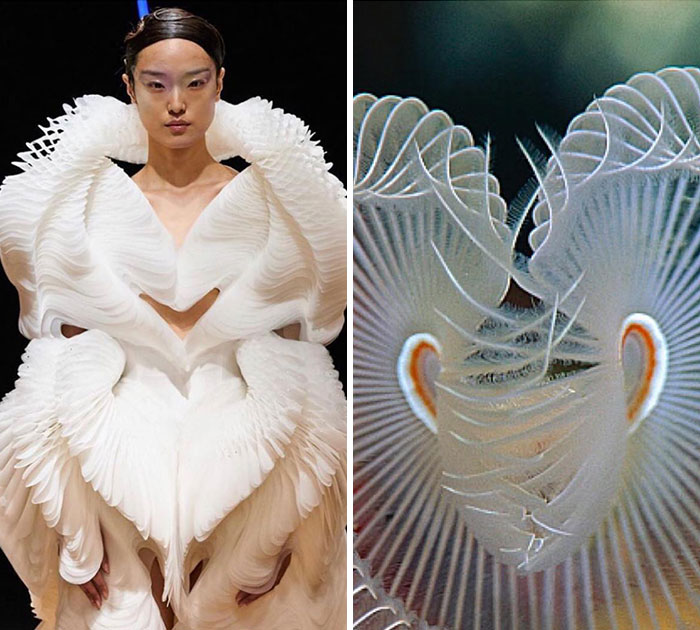 This Instagram Account Shows The Parallels Between Fashion And Nature (28 New Pics)