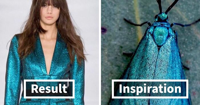 This Instagram Account Shows The Parallels Between Fashion And Nature (28 New Pics)