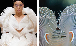 This Instagram Account Shows The Parallels Between Fashion And Nature (28 New Pics)
