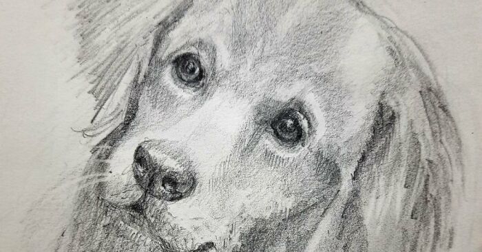 Hey Pandas, Draw A Picture Of Your Pet And Then Post It (Closed)