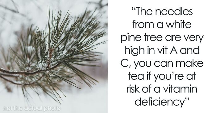 Person Asks “What Is A Random First Aid Or Survival Fact That You Know?”, 50 Folks Deliver