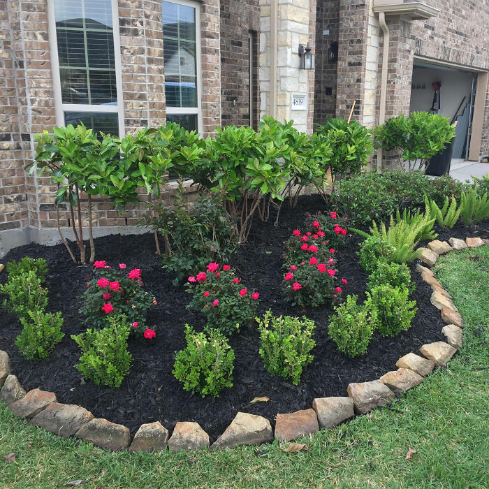 Plant beds in front yard