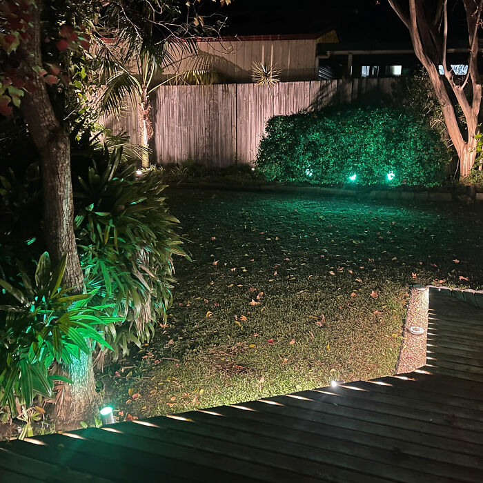 Front yard with lights and pathway