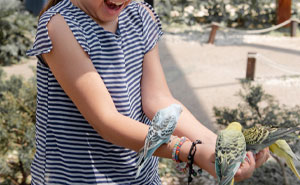 Here Are 30 Of The Best Tweets From Parents That Made People Laugh This December (New Pics)