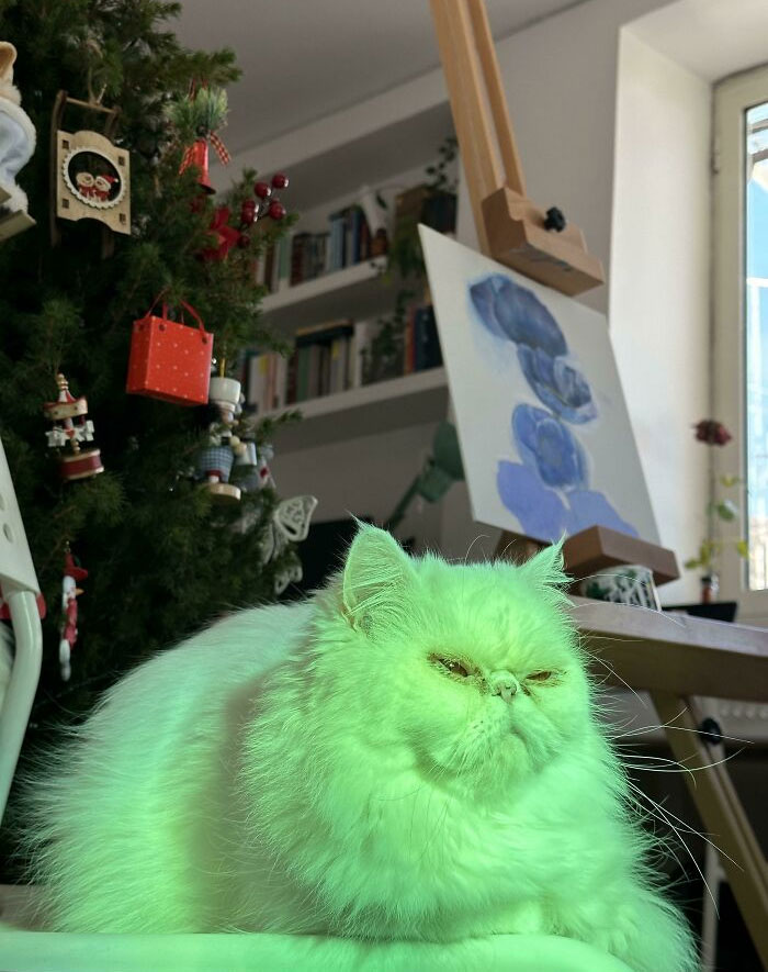 The Grinch Is Ready To Obliterate The Christmas Tree