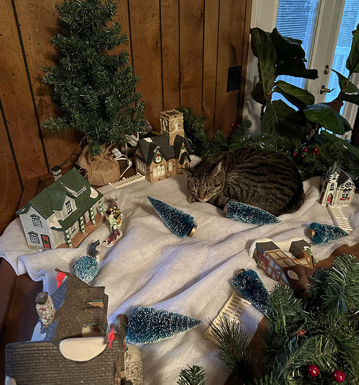 Breaking News: Giant Tabby Terrorizes Sleepy Christmas Village