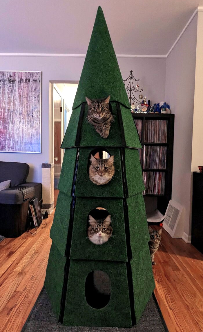 Put Up A Christmas Tree We Encourage Our Cats To Climb