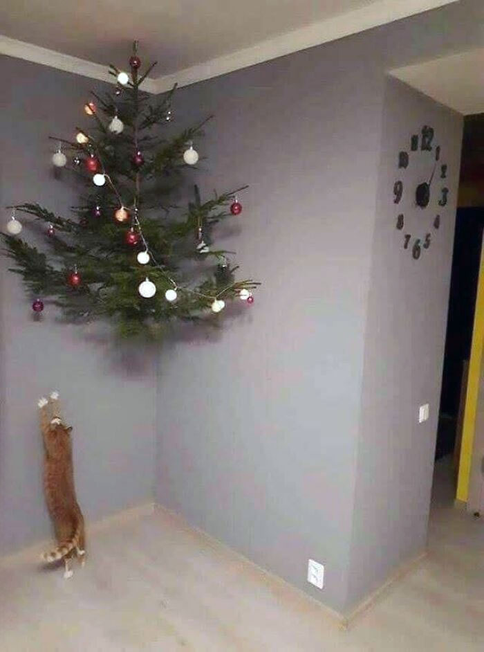 Christmas Life Hack For Mischievous Cats