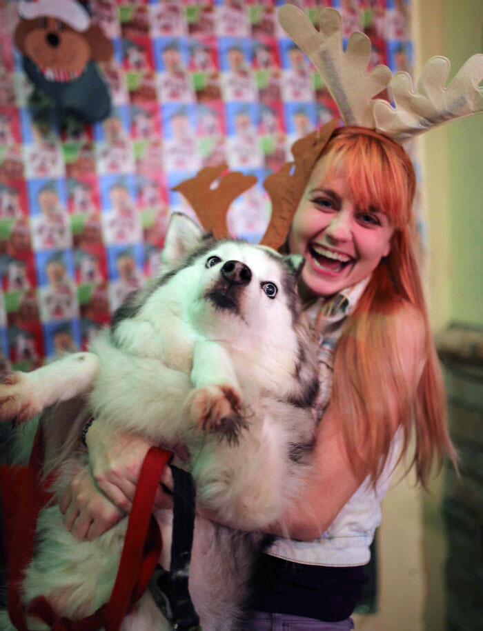 I Tried To Take A Cute Christmas Photo Holding My Dog