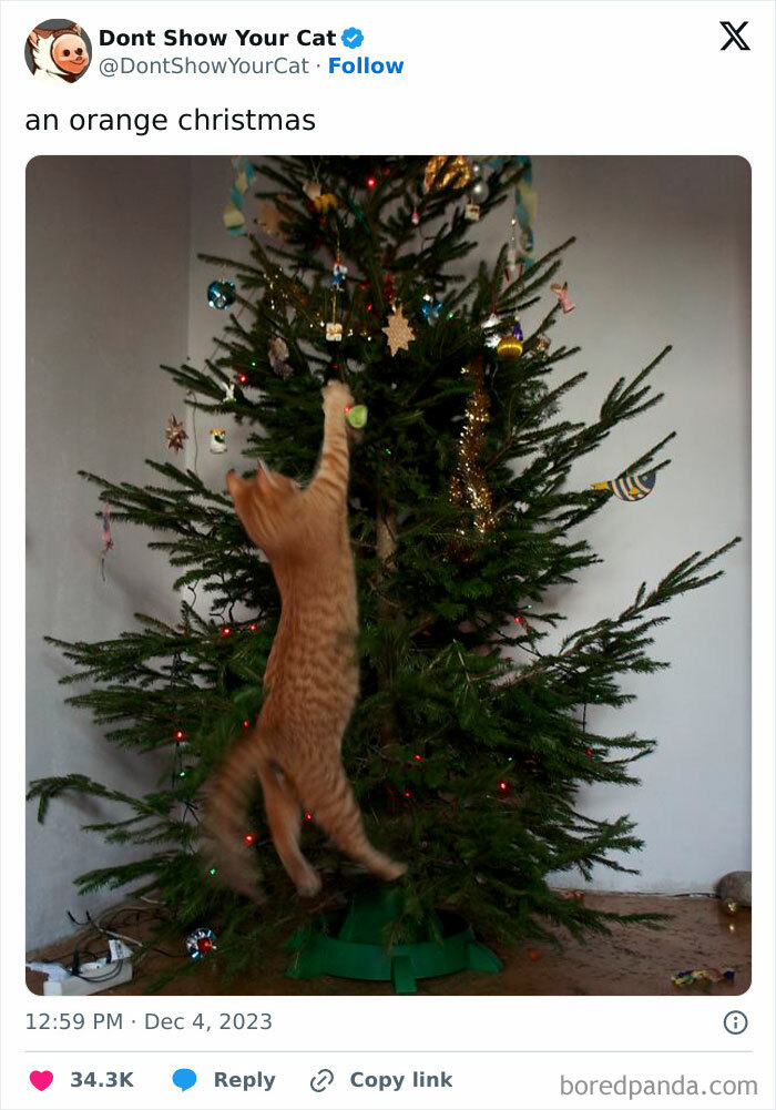 It's Actually A Cat Decorating A Christmas Tree