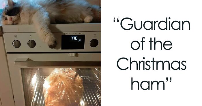 50 Times Pets Made Christmas A Holiday To Remember, For Better Or Worse