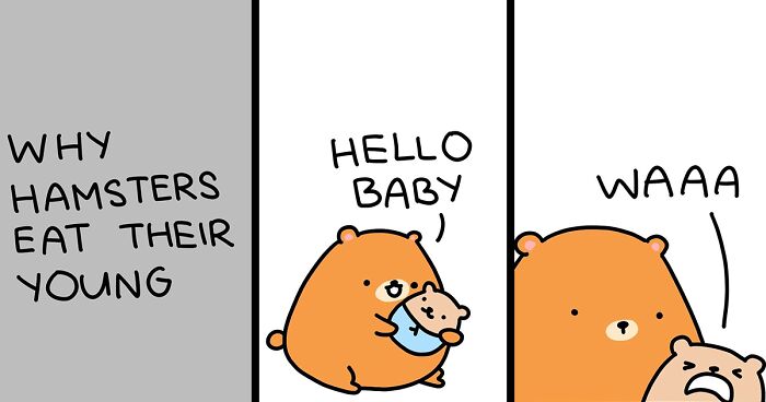 30 “The Square Comics” For People Who Enjoy A Dark Sense Of Humor (New Pics)