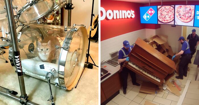 40 Of The Funniest “Musical Instruments In Predicaments” That Might Make You Laugh