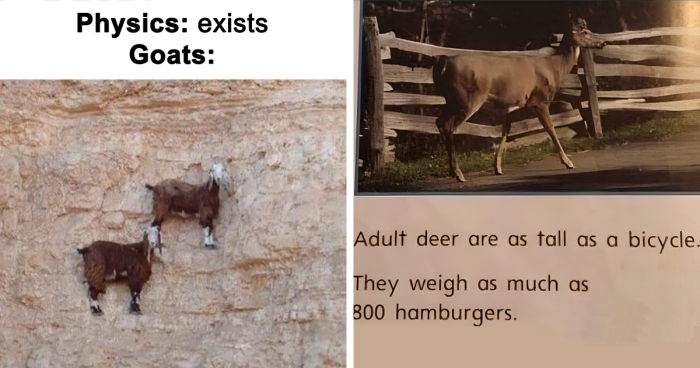 40 Memes And Jokes That Perfectly Sum Up Physics, As Shared By This Online Page