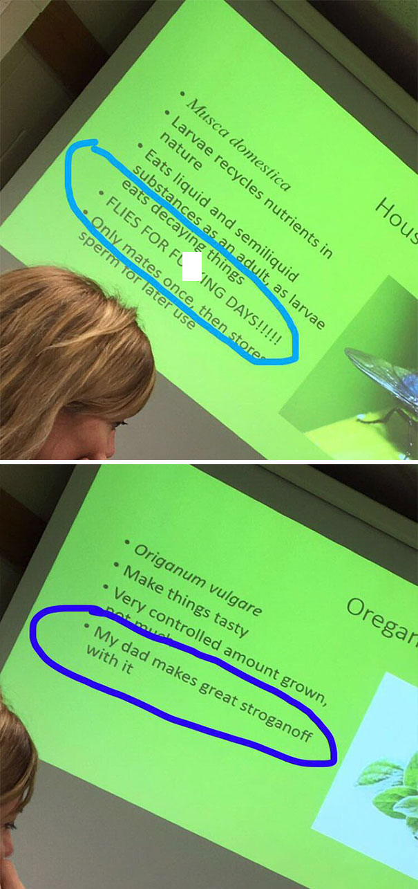 Funny presentation about biology